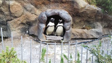 サンシャイン水族館に投稿された画像（2022/4/11）