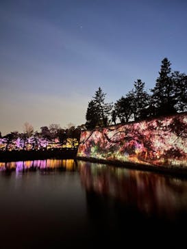 NAKED FLOWERS 2022 -桜- 世界遺産・二条城に投稿された画像（2022/4/11）