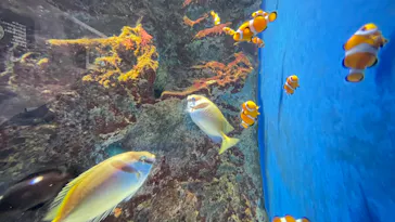 仙台うみの杜水族館に投稿された画像（2022/4/11）