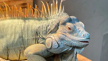 仙台うみの杜水族館に投稿された画像（2022/4/11）