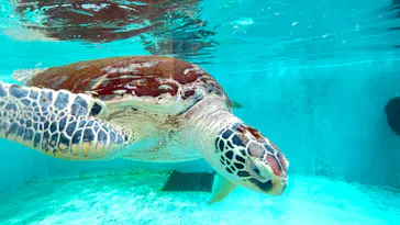 仙台うみの杜水族館に投稿された画像（2022/4/11）