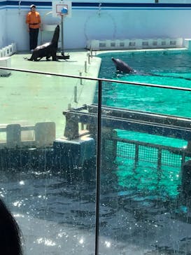 しながわ水族館に投稿された画像（2022/4/11）