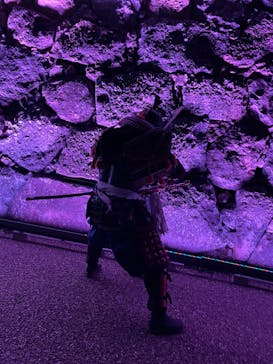 姫路城（イベント）に投稿された画像（2022/4/11）