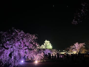 姫路城（イベント）に投稿された画像（2022/4/11）