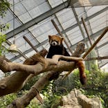 神戸どうぶつ王国に投稿された画像（2022/4/11）