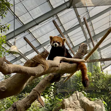 神戸どうぶつ王国に投稿された画像（2022/4/11）