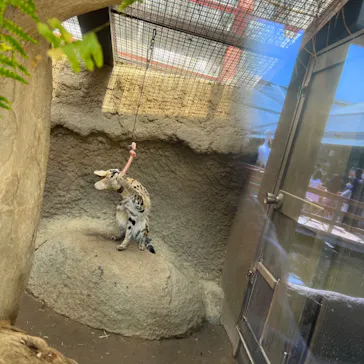 神戸どうぶつ王国に投稿された画像（2022/4/11）