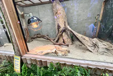 神戸どうぶつ王国に投稿された画像（2022/4/11）