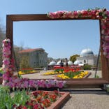 野外民族博物館 リトルワールドに投稿された画像（2022/4/11）