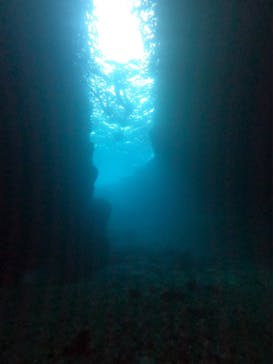 DIVING-SHOP SUNSに投稿された画像（2022/4/11）