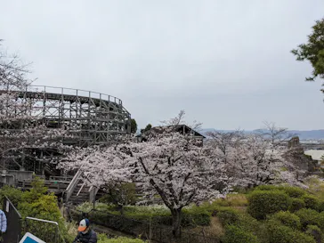 ひらかたパークに投稿された画像（2022/4/11）