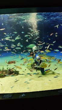 サンシャイン水族館に投稿された画像（2022/4/11）