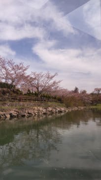 恵那峡遊覧船に投稿された画像（2022/4/11）