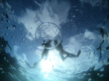 武藤潜水に投稿された画像（2022/4/12）