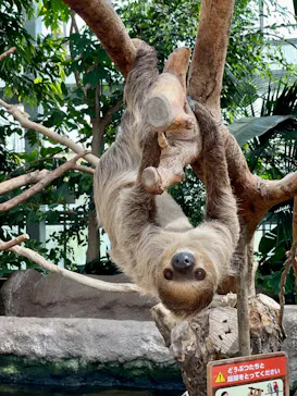 神戸どうぶつ王国に投稿された画像（2022/4/12）