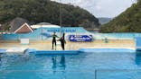下田海中水族館に投稿された画像（2022/4/12）