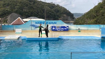 下田海中水族館に投稿された画像（2022/4/12）