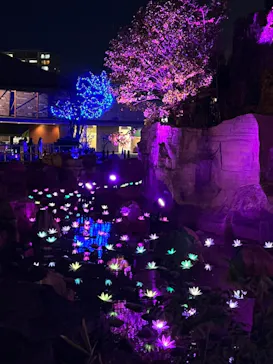 ひらかたパークに投稿された画像（2022/4/12）