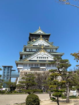 大阪城天守閣に投稿された画像（2022/4/12）