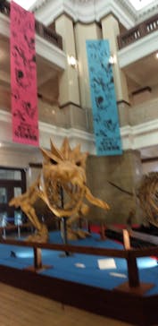 国立科学博物館　特別企画展「ポケモン化石博物館」に投稿された画像（2022/4/12）