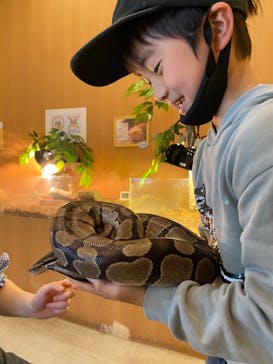 Moff animal cafe MARKIS 福岡ももち店に投稿された画像（2022/4/12）