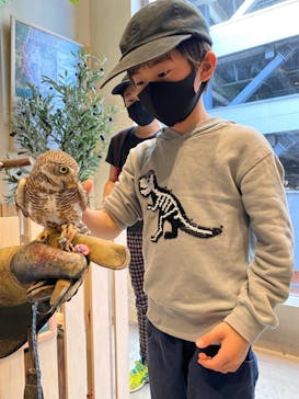 Moff animal cafe MARKIS 福岡ももち店に投稿された画像（2022/4/12）