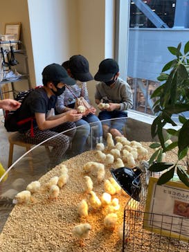 Moff animal cafe MARKIS 福岡ももち店に投稿された画像（2022/4/12）