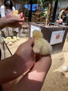 Moff animal world MARK IS みなとみらい店に投稿された画像（2022/4/12）