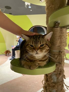 Moff animal world MARK IS みなとみらい店に投稿された画像（2022/4/12）