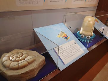 国立科学博物館　特別企画展「ポケモン化石博物館」に投稿された画像（2022/4/12）