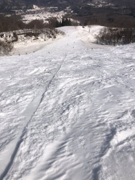 つがいけマウンテンリゾートに投稿された画像（2022/4/12）