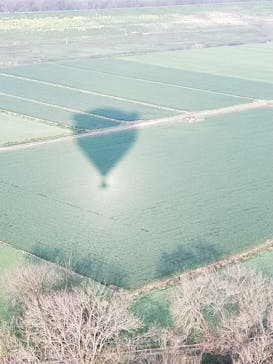 PUKAPUKA（プカプカ）に投稿された画像（2022/4/12）