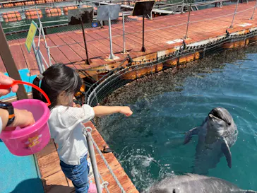 うみたま体験パーク 「つくみイルカ島」に投稿された画像（2022/4/12）