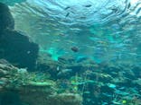 名古屋港水族館に投稿された画像（2022/4/13）