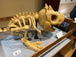 国立科学博物館　特別企画展「ポケモン化石博物館」に投稿された画像（2022/4/13）