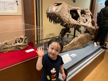 国立科学博物館　特別企画展「ポケモン化石博物館」に投稿された画像（2022/4/12）