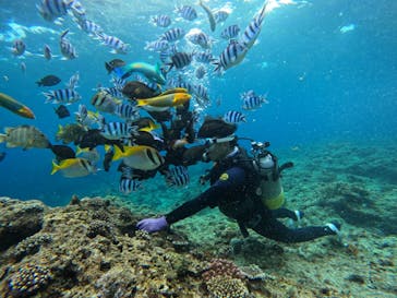 DIVING-SHOP SUNSに投稿された画像（2022/4/13）