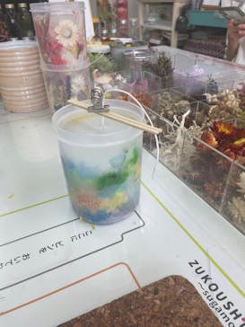 ずこうしつ〜sugamo〜に投稿された画像（2022/4/13）