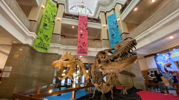 国立科学博物館　特別企画展「ポケモン化石博物館」に投稿された画像（2022/4/13）