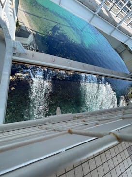 徳島県立 渦の道に投稿された画像（2022/4/13）