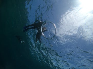 武藤潜水に投稿された画像（2022/4/13）