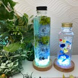 ずこうしつ〜sugamo〜に投稿された画像（2022/4/13）