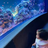 サンシャイン水族館に投稿された画像（2022/4/13）