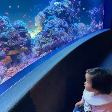 サンシャイン水族館に投稿された画像（2022/4/13）