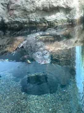 天王寺動物園に投稿された画像（2022/4/13）