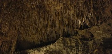 おきなわワールドに投稿された画像（2022/4/13）