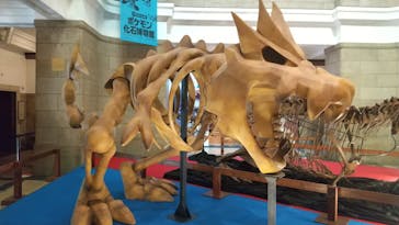 国立科学博物館　特別企画展「ポケモン化石博物館」に投稿された画像（2022/4/13）