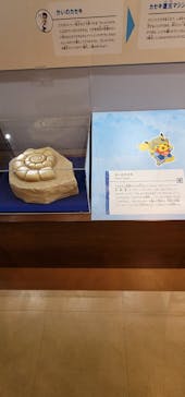 国立科学博物館　特別企画展「ポケモン化石博物館」に投稿された画像（2022/4/13）