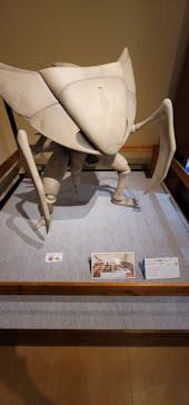 国立科学博物館　特別企画展「ポケモン化石博物館」に投稿された画像（2022/4/13）