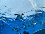 サンシャイン水族館に投稿された画像（2022/4/13）